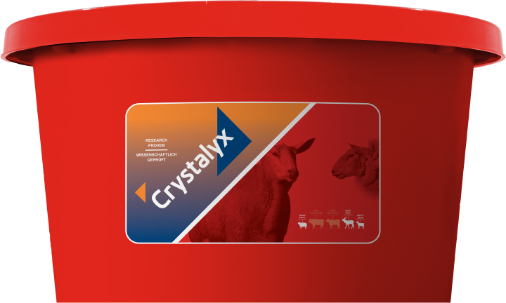 CRYSTALYX Extra Energy (Rot)